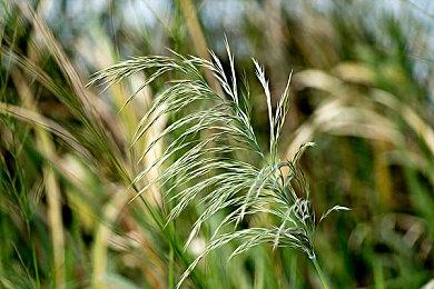 《暗黑破坏神4：憎恨之躯》10月8日早7点正式解锁