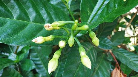 《黑帝斯2》抢先体验3号补丁上线 大量祝福效果改进